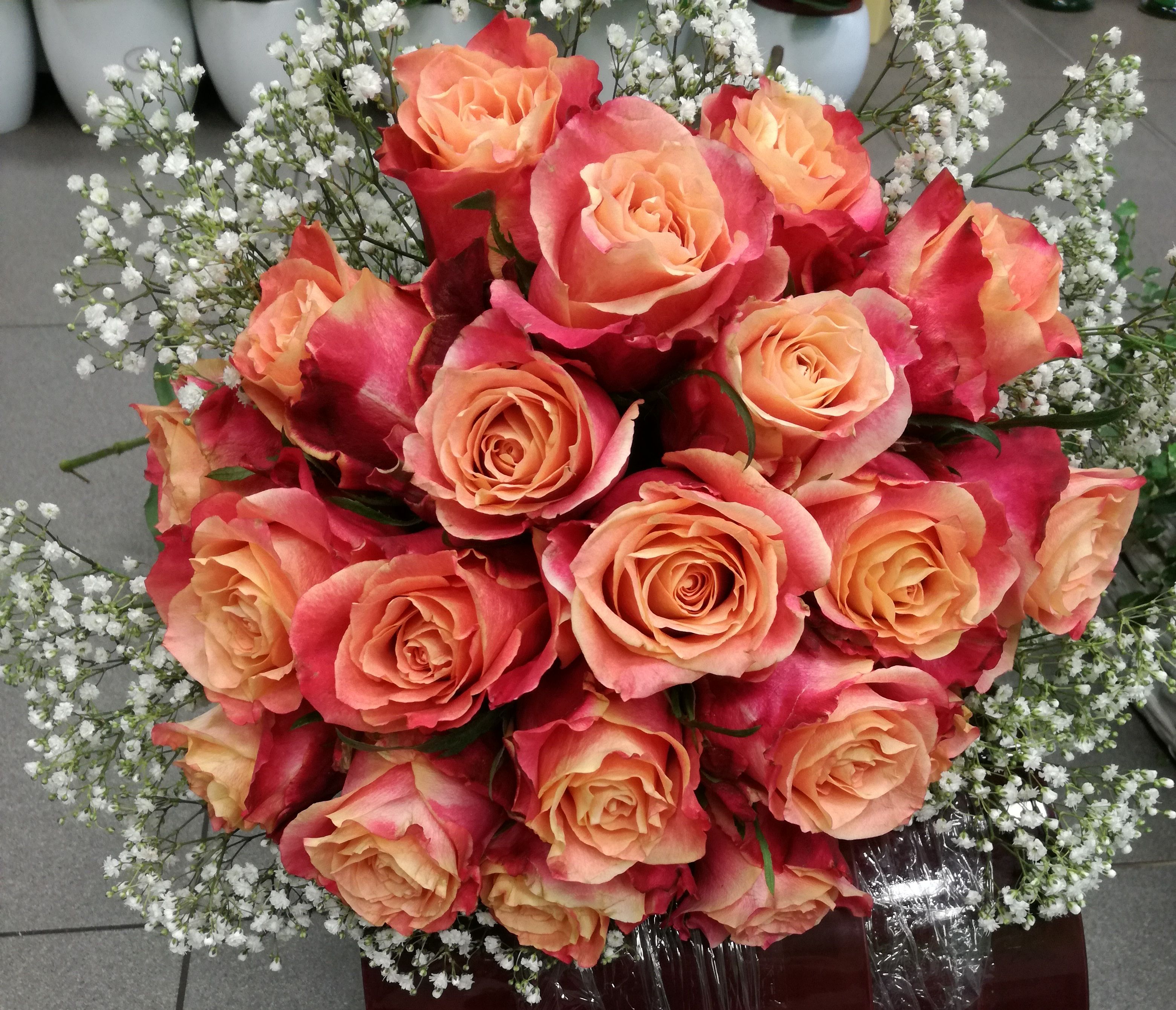 Květiny Lilien - Růže